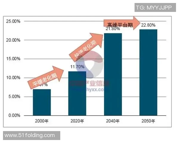 武汉网球队实力对比深度剖析及未来发展趋势探讨实时数据 武汉网球队实力对比深度剖析及未来发展趋势探讨实时数据
