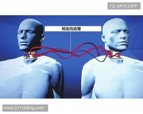 今年运动数据张强专访揭秘滑板行业成功背后的秘密与未来发展方向 今年运动数据张强专访揭秘滑板行业成功背后的秘密与未来发展方向